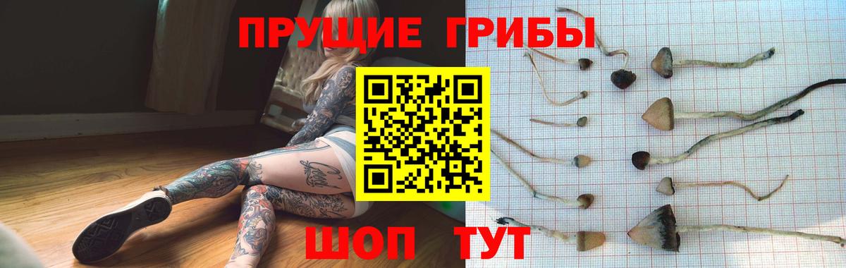 Псилоцибиновые грибы MAGIC MUSHROOMS Сатка